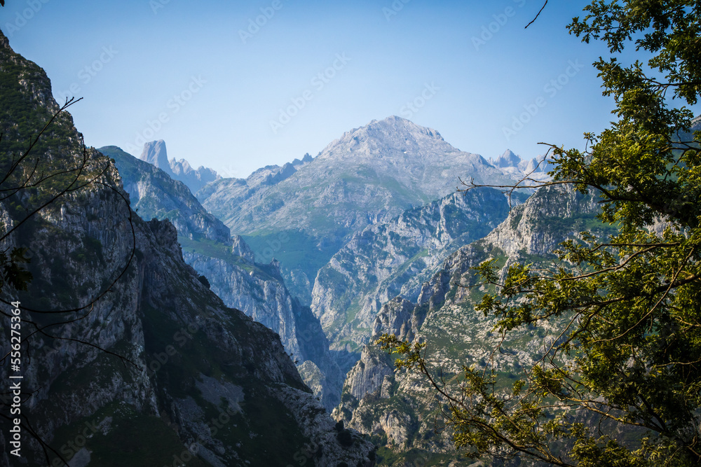 Mountain landscape, Picos de Europa, Asturias, Spain Mountain landscape, Picos de Europa, Asturias, Spain