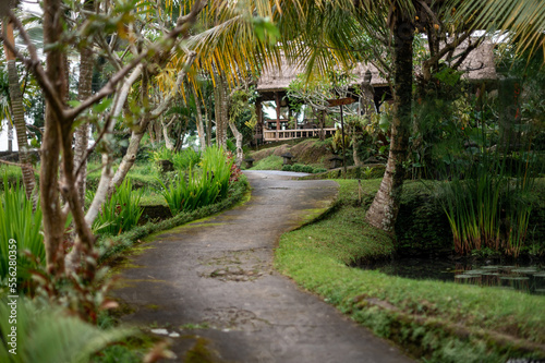 Courtyard of a house on the island of Bali.