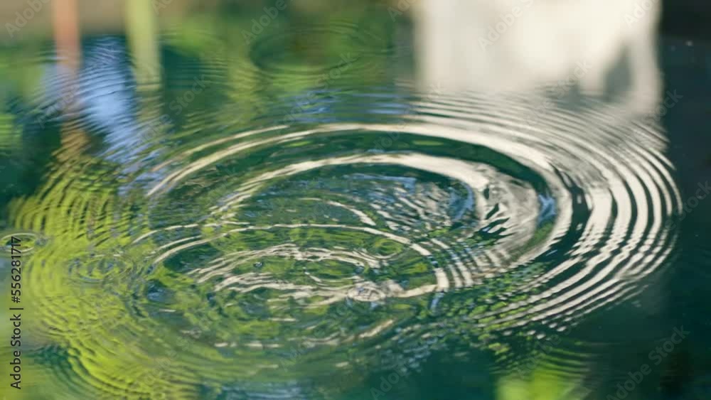 Reflection of tropical plants with water drops over the water , relaxation with water ripple drops concept , filmed on cinema slow motion camera at 160 fps Reflection of tropical plants with water drops over the water , relaxation with water ripple drops concept , filmed on cinema slow motion camera at 160 fps