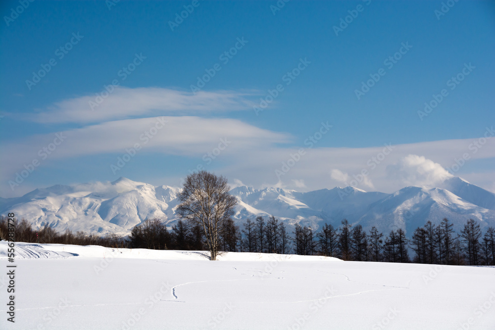 冬の晴れた日の雪原と山並み　十勝岳連峰
