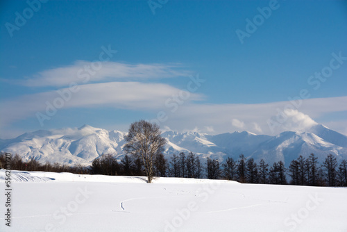 冬の晴れた日の雪原と山並み　十勝岳連峰  © kinpouge