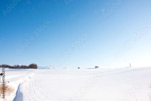 雪原と青空  © kinpouge