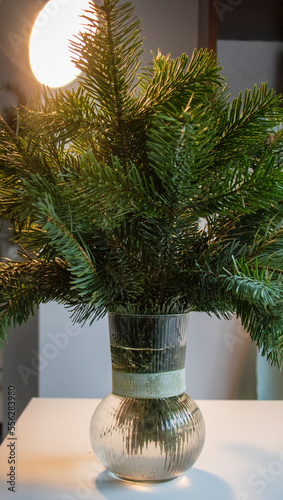 christmas tree in a vase