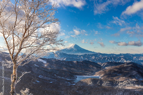 冬の大菩薩嶺登山道から樹氷・霧氷と富士山