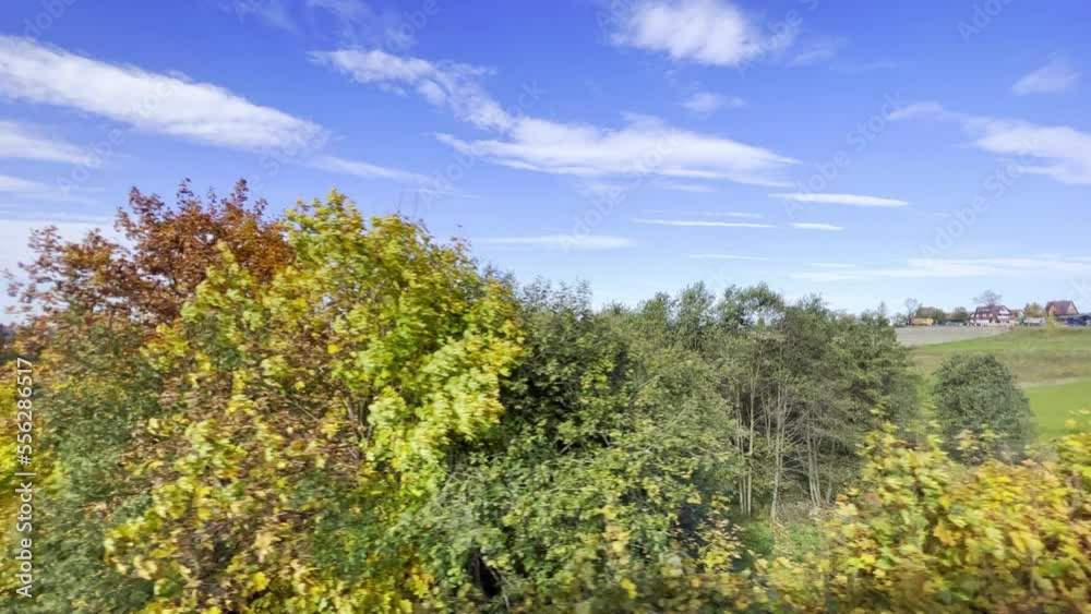 Train ride passenger side window with beautiful panoramic landscape of nature, green trees, bushes in springtime. Fast moving between trees. High quality 4k footage Train ride passenger side window with beautiful panoramic landscape of nature, green trees, bushes in springtime. Fast moving between trees. High quality 4k footage