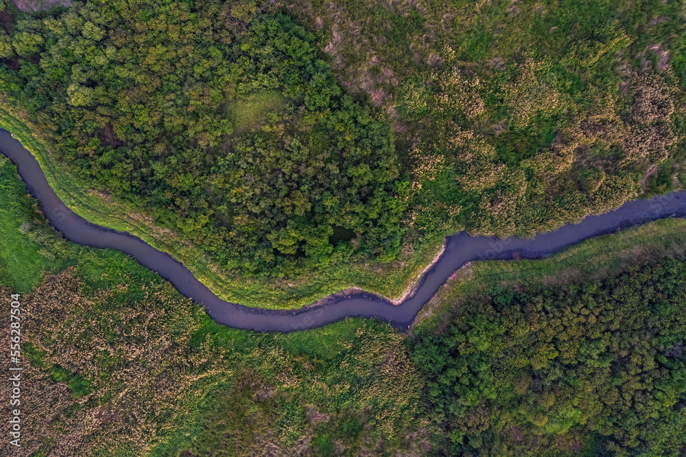 aerial view landscape of Tree or forest.