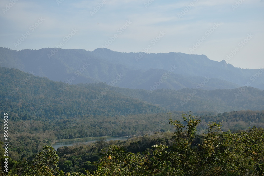 landscape of tree in sunset on mountain at Thailand landscape of tree in sunset on mountain at Thailand