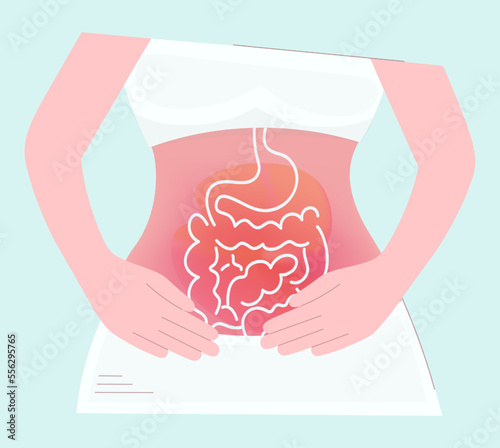 A woman with abdominal pain points to the intestines. Problems of the gastrointestinal tract, dysbacteriosis, diverticulitis, constipation or diarrhea. The girl holds her hands on her stomach. Vector.