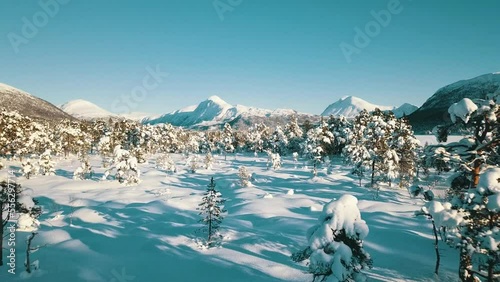 Flight over a frozen lake in the mountains, a beach house in a snowy forest.
 photo