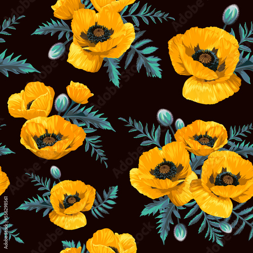 Seamless pattern with yellow Common Poppy (Papaver rhoeas) flowers isolated on black background. Spring illustration.