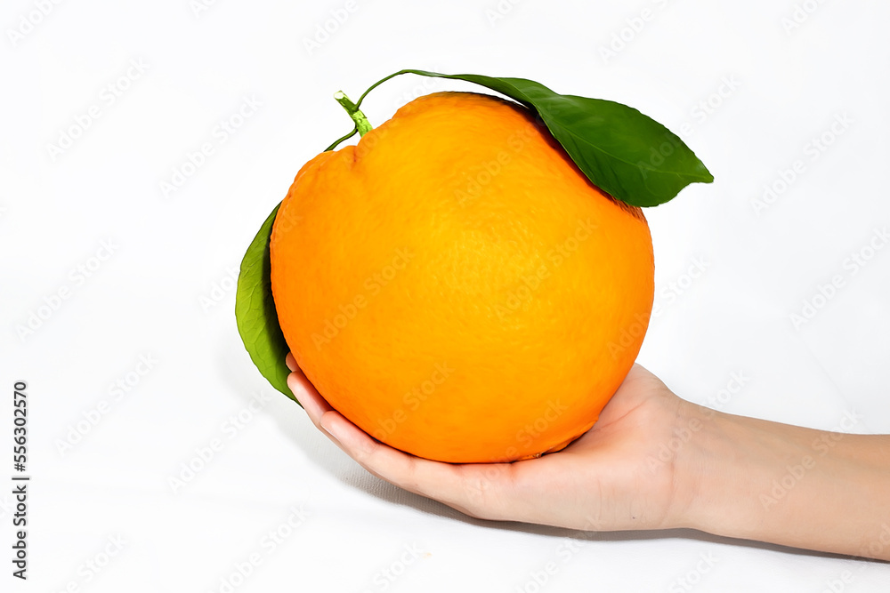 Hand holding orange with leaves. Nutrition and vegetarian concept