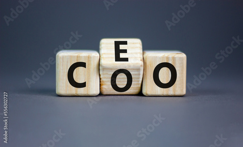 CEO or COO symbol. Concept word CEO chief executive officer or COO chieve operating officer on wooden cubes. Beautiful grey table grey background. Business and CEO or COO concept. Copy space. photo