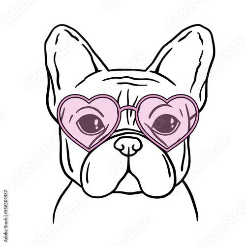 French bulldog black and white hand drawn portrait. French bulldog face in line. Dog head with heart glasses. Valentines Day. Cute muzzle French Bulldog.
