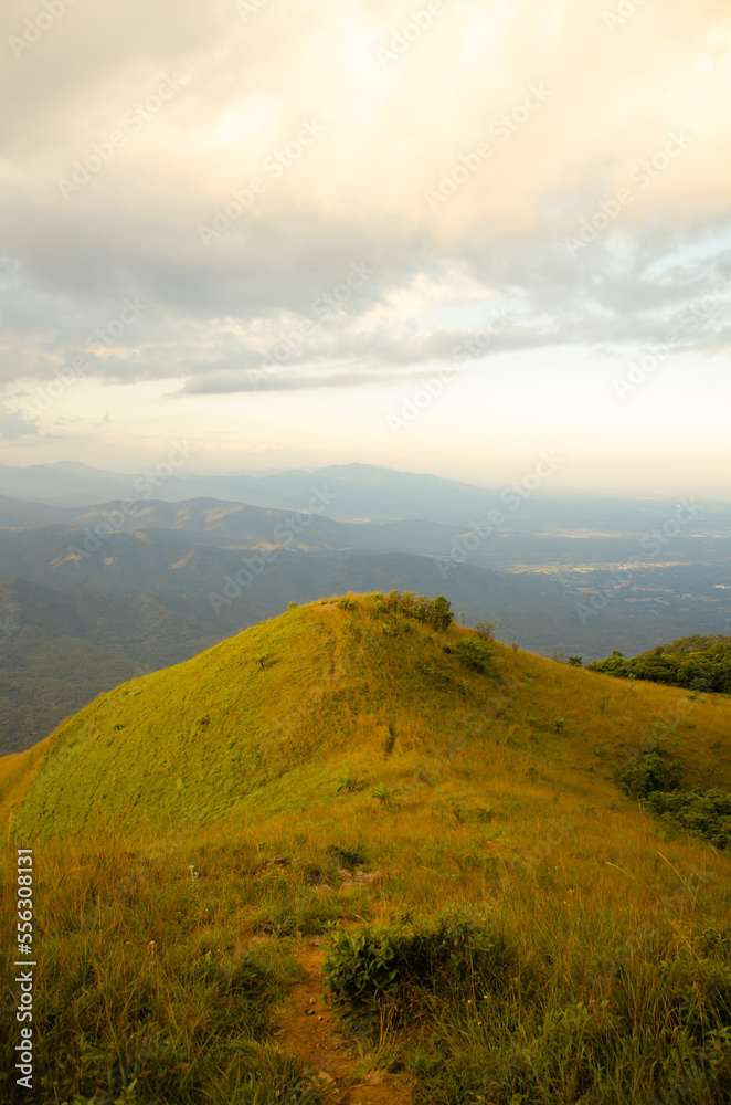 vertical view of mountain with green and yellow grass, Doi Luang Tak, Thailand