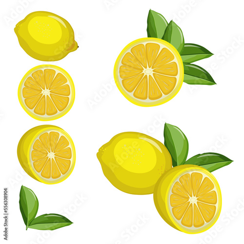 lemon slices isolated on white