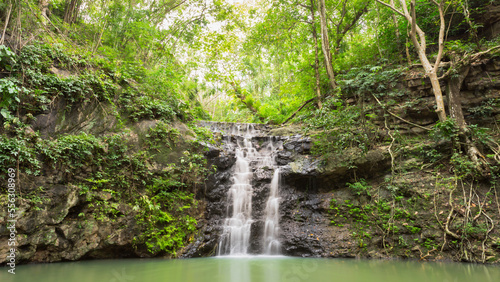 Ton Rak Sai Waterfall is in Namtok Sam Lan National Park ,Saraburi Thailand