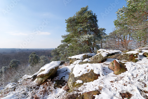 The Fontainebleau forest is covered in snow. point of view of the Camp de Chailly