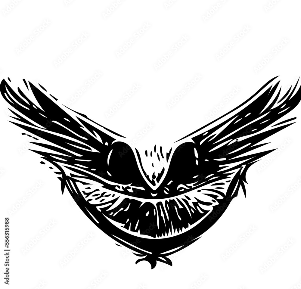 Obraz premium black and white eagle