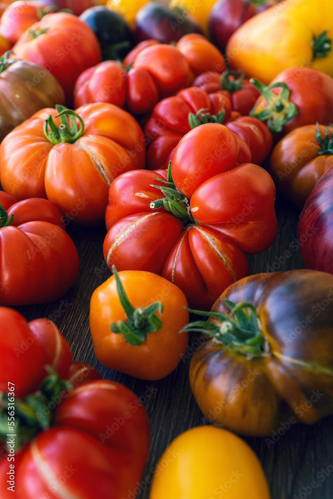 Farm tomatoes on the table Farm tomatoes on the table