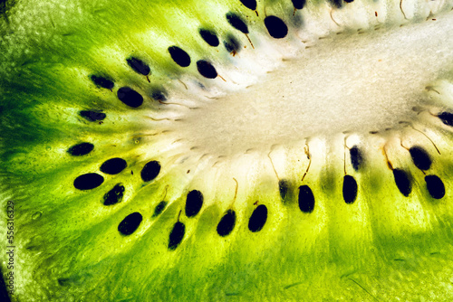 Slice cut kiwi close up