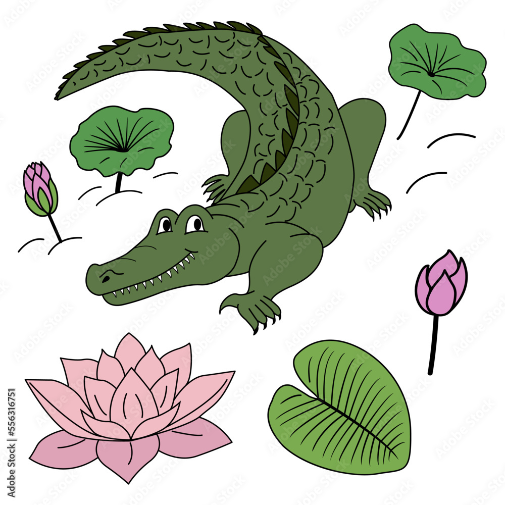 Obraz premium Cartoon vector alligator, lily flowers, leaves. Colorful clipart crocodile in the swamp