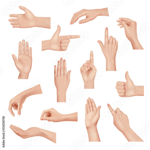 Hands gestures. Realistic detailed anatomic people body parts human hands palm and fingers decent vector template