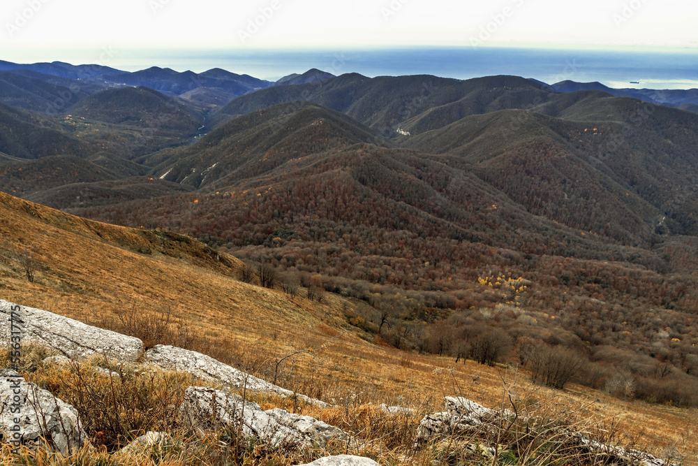 View from a high mountain. A valley between high mountains and the sea on the horizon. A bird's-eye view of the mountain hills covered with dense forests on a bright autumn day.