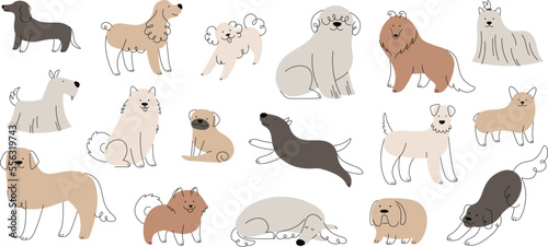 Fototapeta Naklejka Na Ścianę i Meble -  Cartoon doodle pretty dogs collection. Dog trendy design portrait, puppy funny play. Isolated fun animals. Racy fashion various breeds vector set