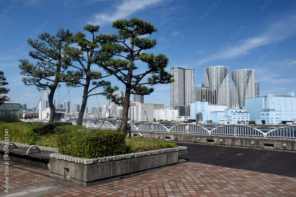 View of Tokyo skyline seen from the shore around Hamamatsucho district, blue sky and sunny weather