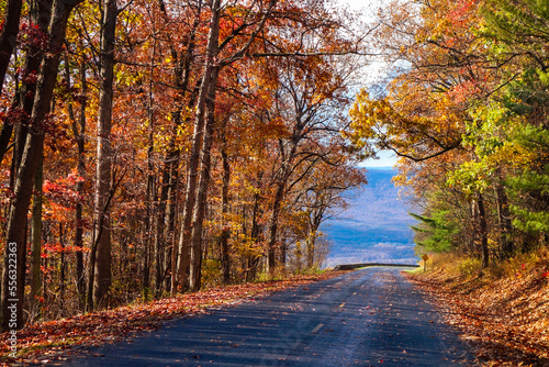 Autumn foliage in Shenandoah National Park  Virginia - United States