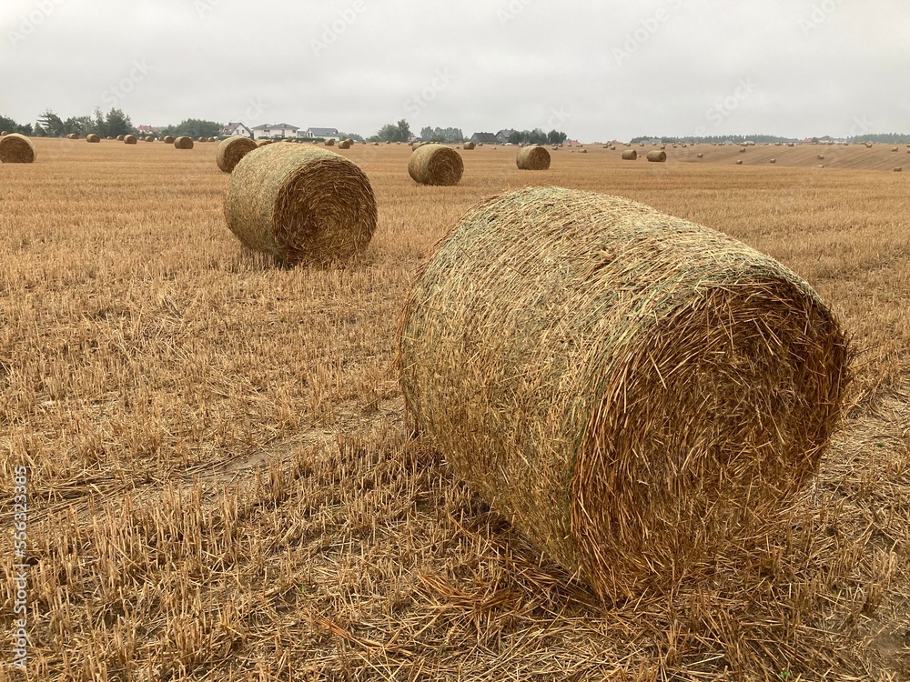 bales of straw