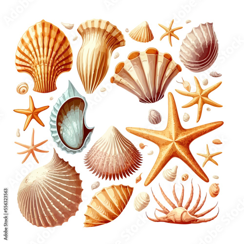 Obraz na płótnie Sea shells, starfishes set