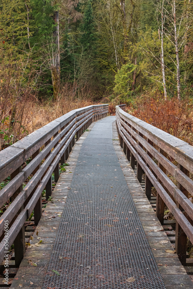 Eco path wooden walkway in the forest. Ecological trail path. Wooden path in the National park in Canada. Travel photo