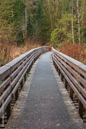 Eco path wooden walkway in the forest. Ecological trail path. Wooden path in the National park in Canada. Travel photo