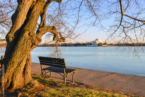 Tableau sur toile Washington DC in the snow - Jefferson Memorial and  cherry trees at tidal basin
