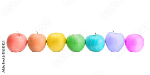 Obraz na płótnie Row of different rainbow colored apples with reflection. Creativity, diversity, arts and fantasy concept. Isolate png with transparency w salonie