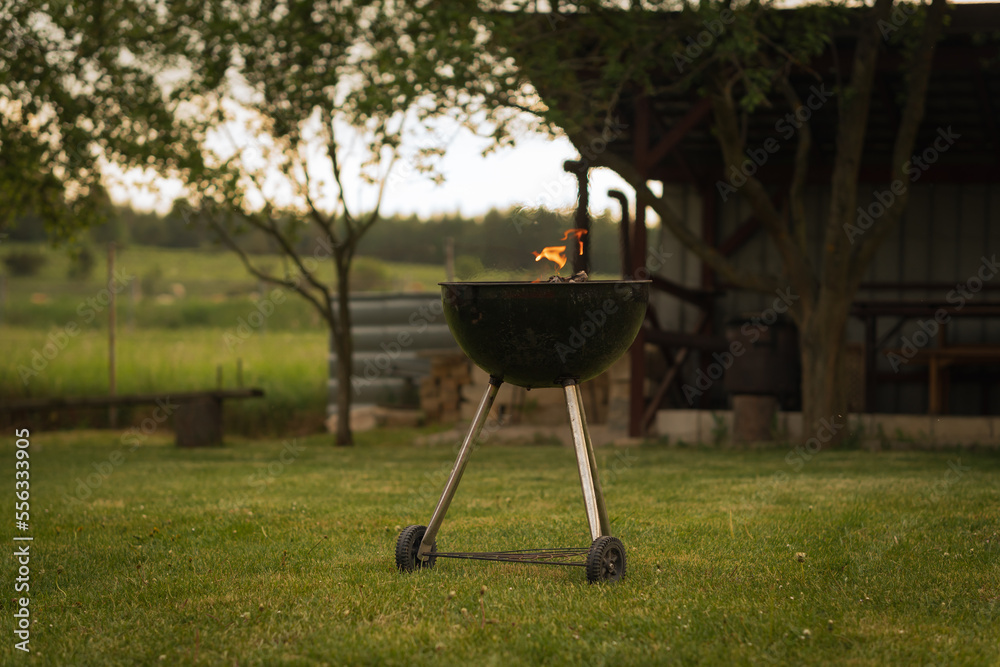 barbecue on the grill