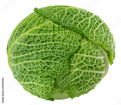 savoy ?abbage isolated on white background, clipping path, full depth of field