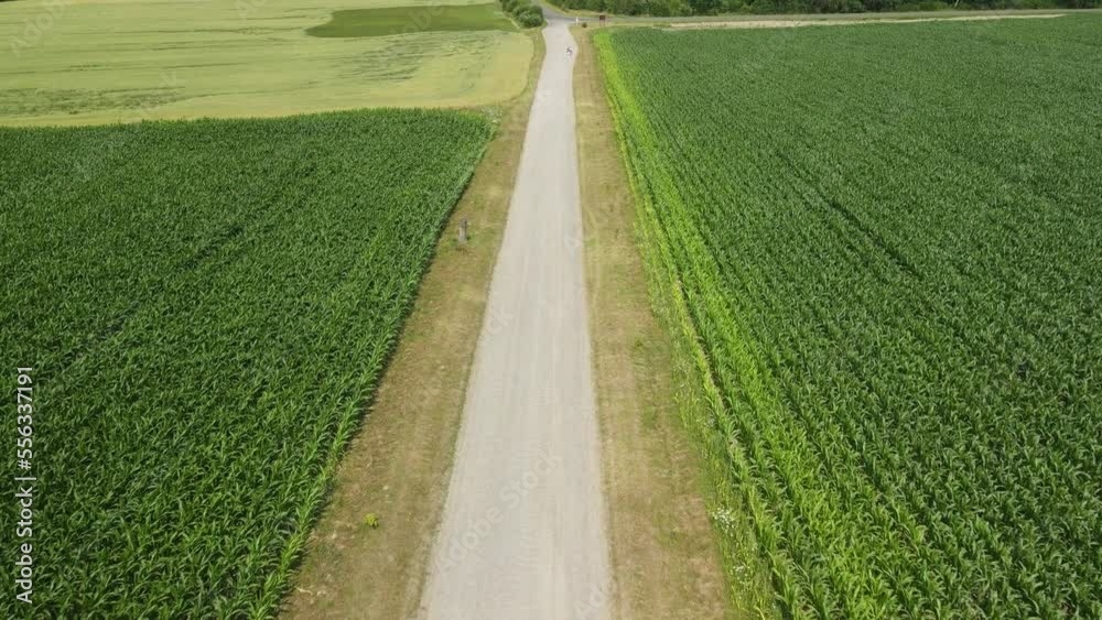View of the fields and roads from the height of a flying drone. View of the fields and roads from the height of a flying drone.