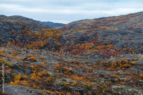 Mountains of the forest tundra in Liinahamari.