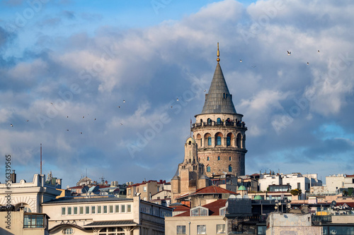 Landscape view on the Galata Tower under the blue autumn sky © Yakov