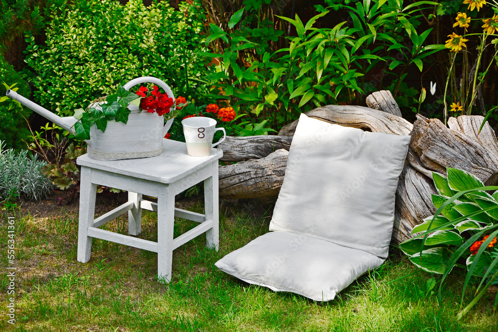 Fototapeta premium czerwona pelargonia i bluszcz w białej konewce, Pelargonium × hortorum, ivy , kącik wypoczynkowy z poduszkami na trawie, seating area with cushions on the grass