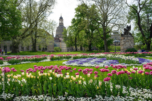 Dresden