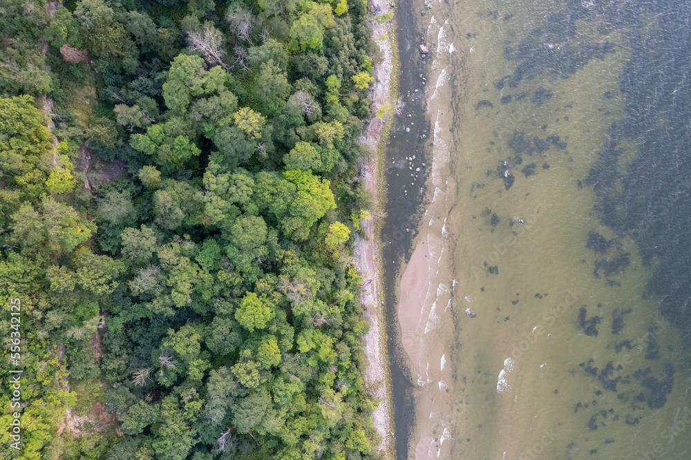 Forest beach seen from above