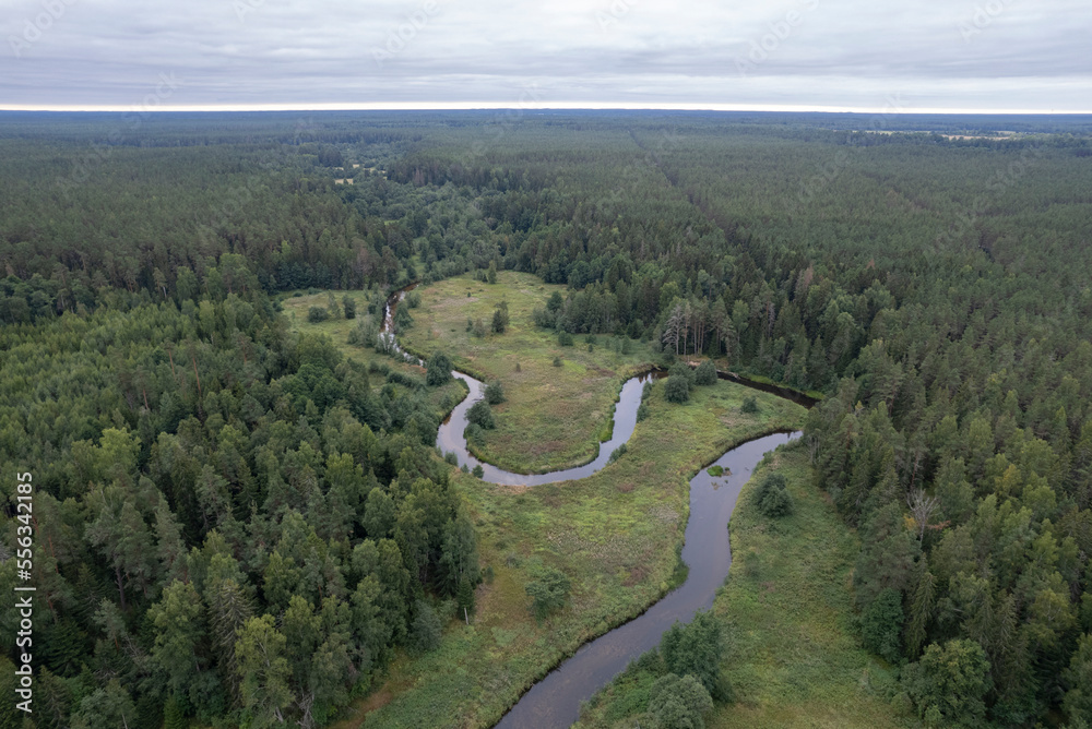A river meandering through a forest in Estonia
