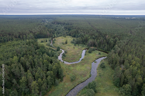 A river meandering through a forest in Estonia
