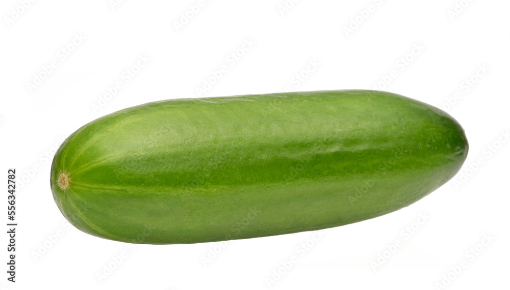 cucumber isolated on white background cucumber isolated on white background