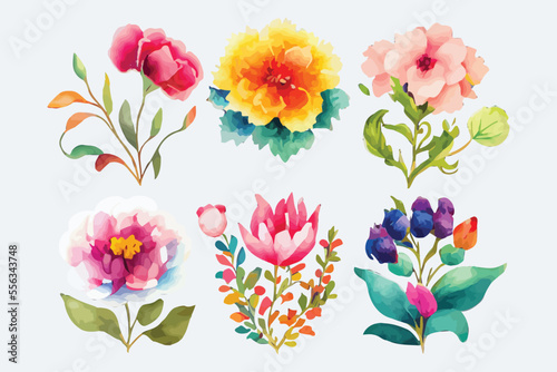 Fototapeta Naklejka Na Ścianę i Meble -  collection of flowers Beautiful Watercolor set of Design Ornaments