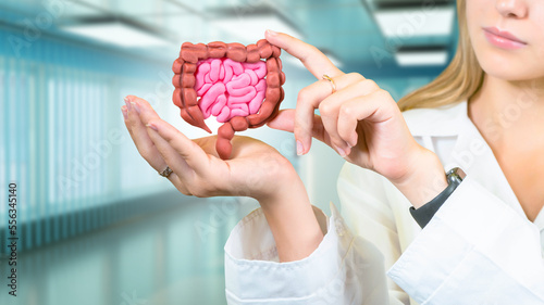 Model of intestinal tract o...