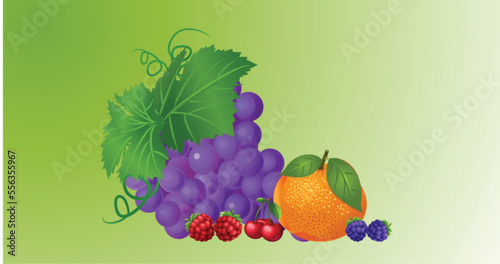 Fototapeta Naklejka Na Ścianę i Meble -  Set of fruits, Grapes, Orange, Berries, Cherries, Raspberries 
